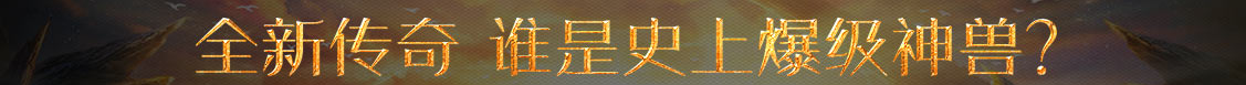 黄金热点策略网